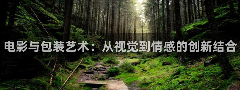 日韓倫理影片在線觀看：電影與包裝藝術：從視覺到情感的創新結合