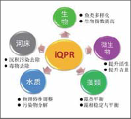 iqpr水體修復技術-