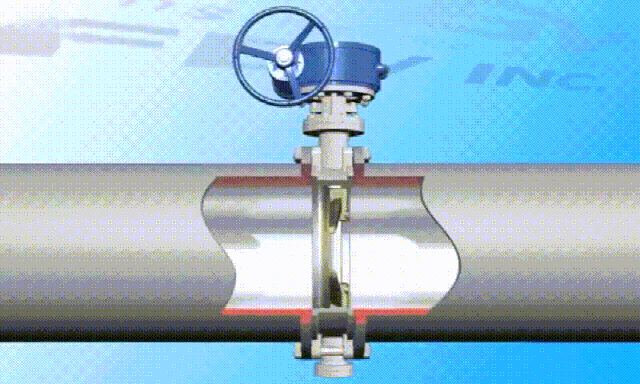 6種閥門(mén)的3d動(dòng)畫(huà)解剖，秒懂工作原理-