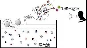 污水廠內的生物氣溶膠怎么產生，污水從業人員如何做好防護？-