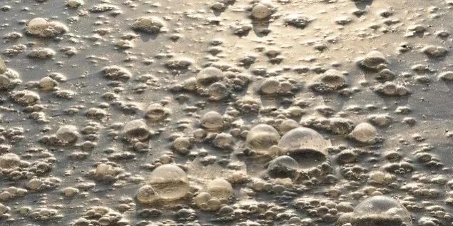 污水廠內的生物氣溶膠怎么產生，污水從業人員如何做好防護？-