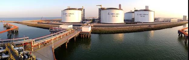 多個百億級超大項目按下快進鍵，天津南港工業區唱響春天進行曲-