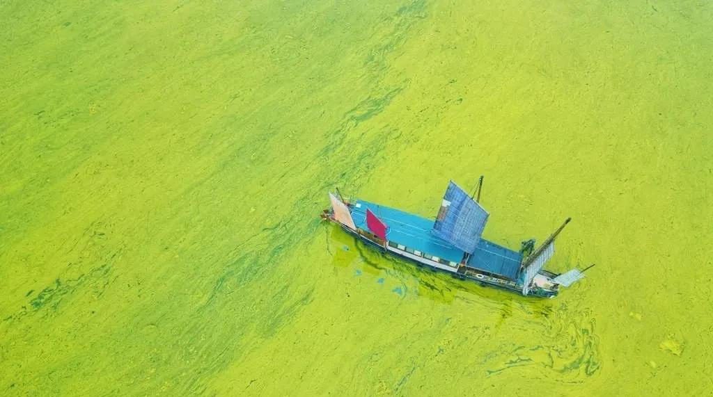 江蘇修訂太湖水環境治理專項資金管理辦法，5月27日起實施-