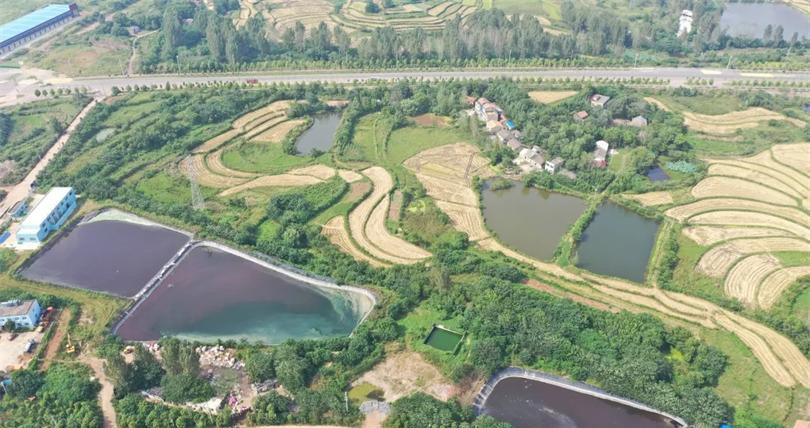 垃圾滲濾液巨量積存 環境污染隱患突出！