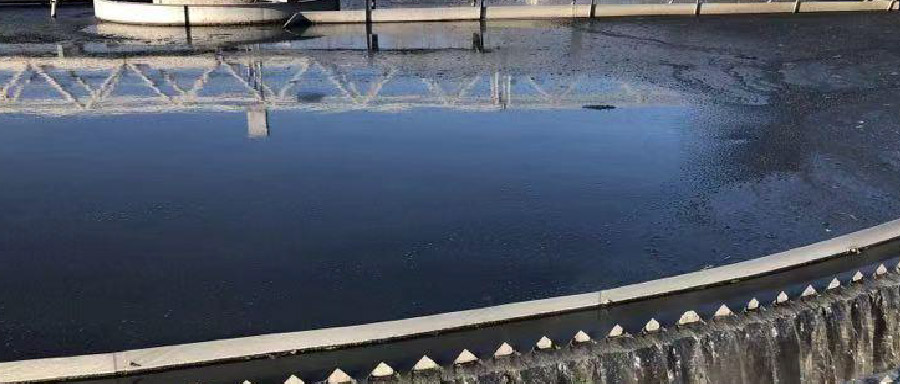 再生水利用率高達50%！看北控水務這座污水廠玩轉資源化